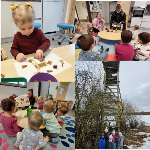 Winterzeit bei den Waldtieren